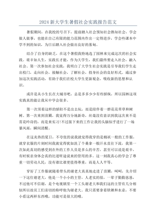 2024新大学生暑假社会实践报告范文