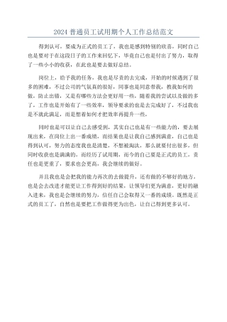 2024普通员工试用期个人工作总结范文