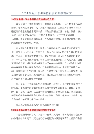 2024最新大学生暑假社会实践报告范文