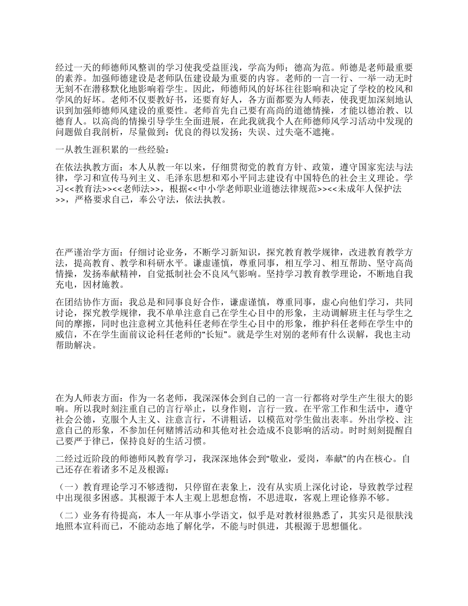 2024最新德师师风自查报告_第1页
