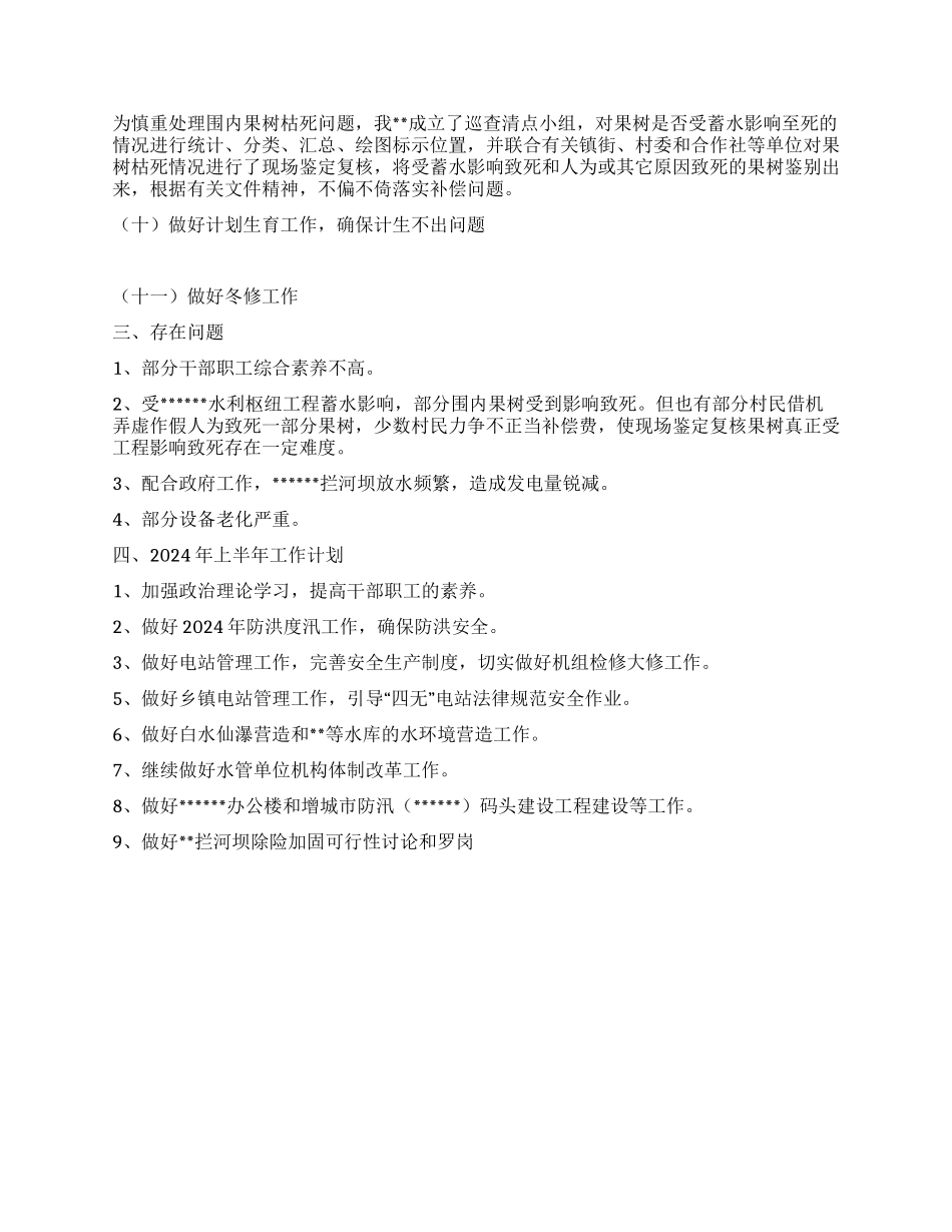 2024水电站工作总结_第2页