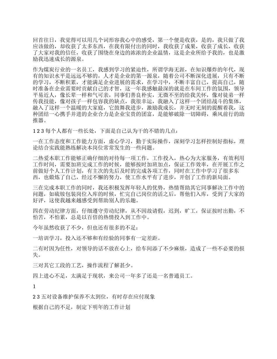 2024煤炭行员工年终总结及2024年工作计划_第1页