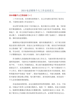 2024电话销售个人工作总结范文