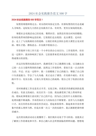 2024社会实践报告范文500字