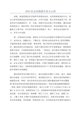 2024社会实践报告范文心得