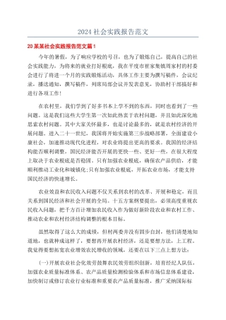 2024社会实践报告范文