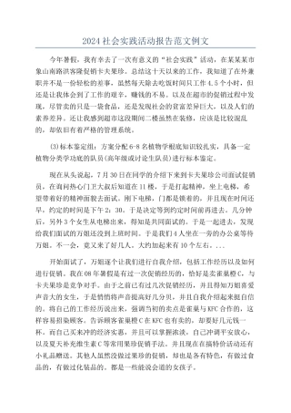 2024社会实践活动报告范文例文