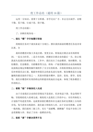 2024税务会计个人年度工作总结
