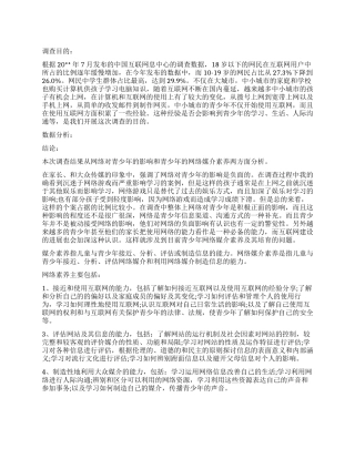 2024网络使用情况调查报告