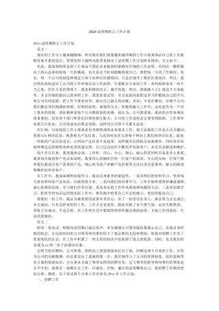 2024试用期转正工作计划