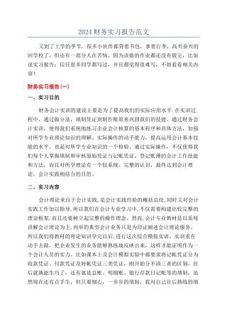 2024财务实习报告范文