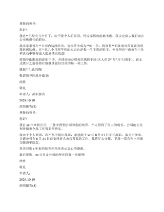 2024辞职报告大全简洁明了的