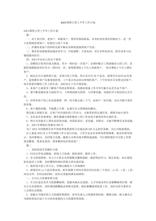 2024销售主管上半年工作计划