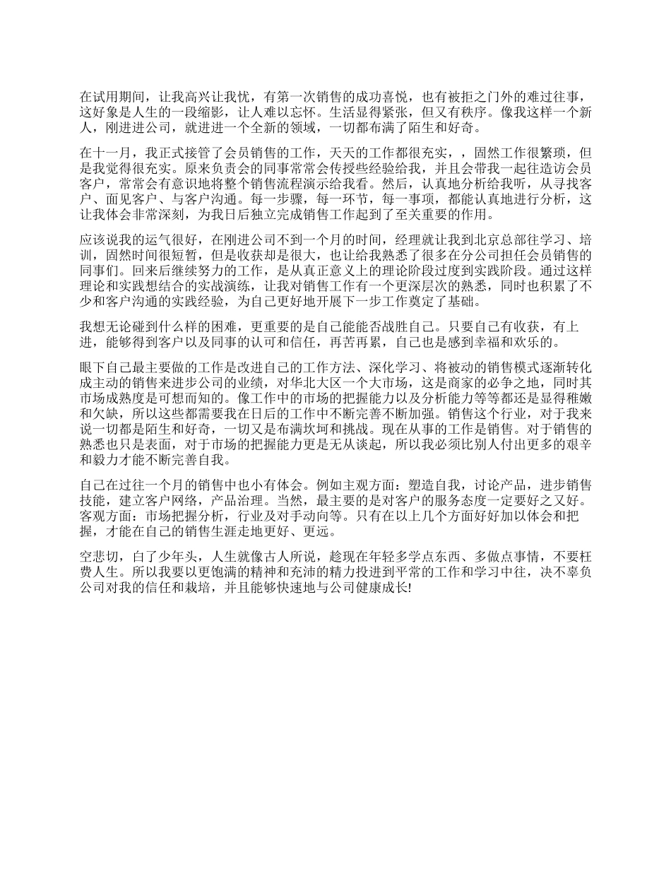 2024销售试用期工作报告_第1页