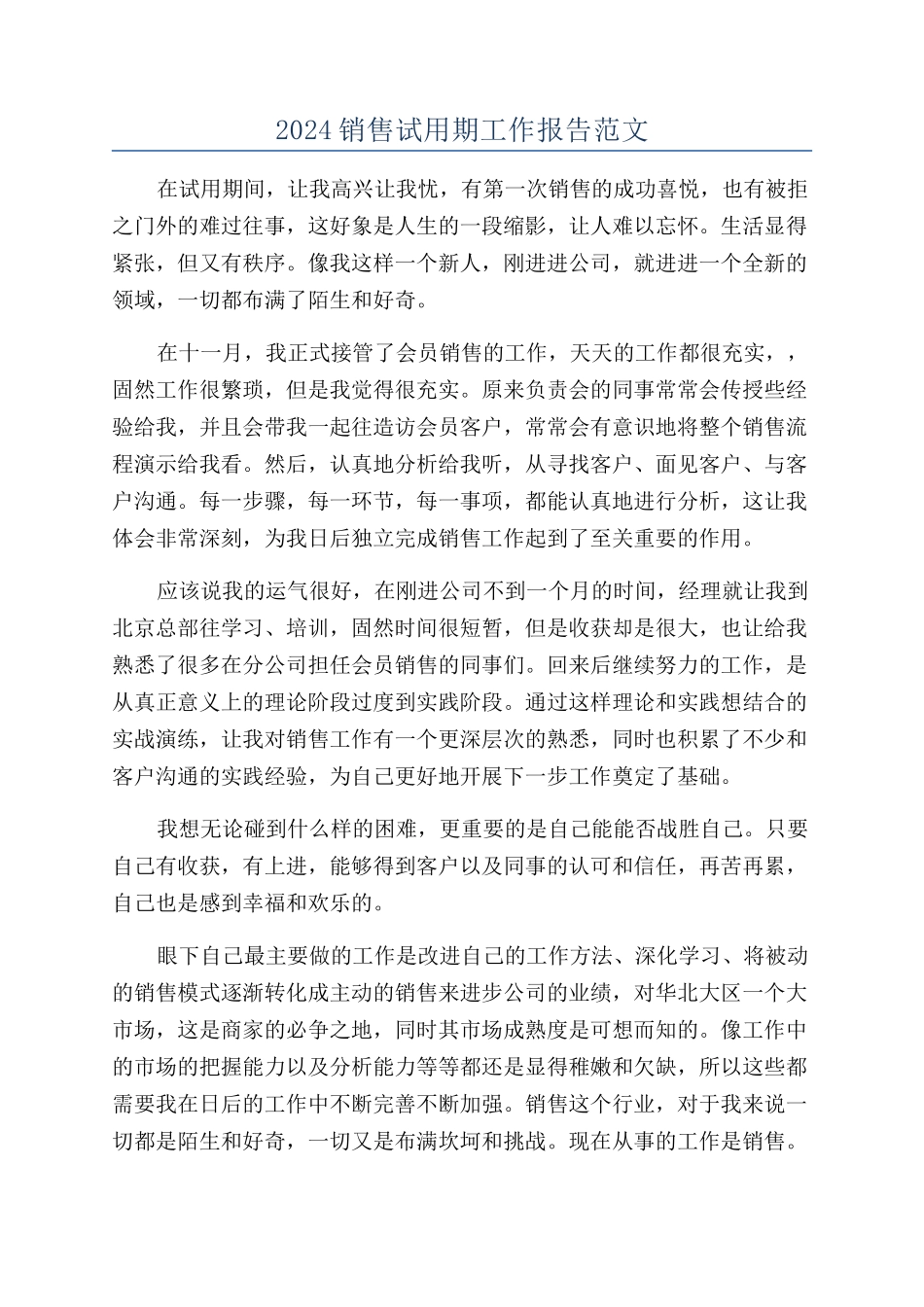 2024销售试用期工作报告范文_第1页