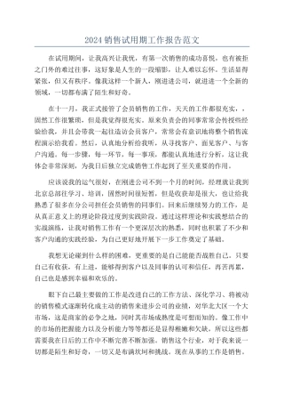2024销售试用期工作报告范文