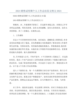 2024销售试用期个人工作总结范文例文2024