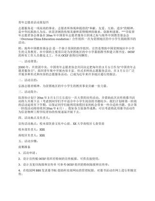 2024青年志愿者活动策划