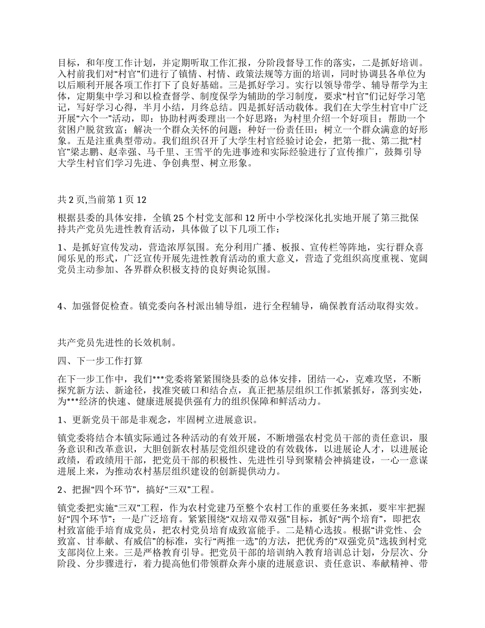 2XX8年上半年乡镇基层组织工作总结_第2页