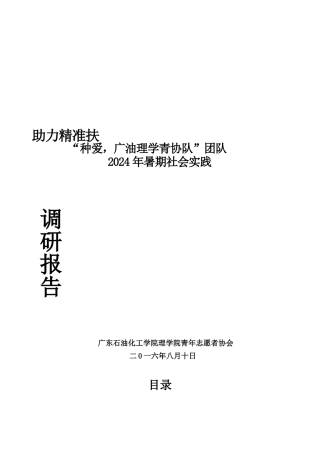 2种爱三下乡调研报告
