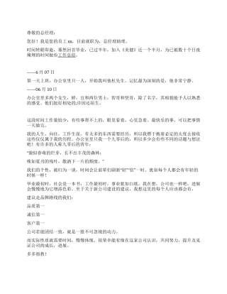 6月总经理助理工作总结