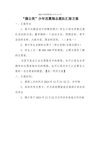 6翼翔志愿队-汇报方案
