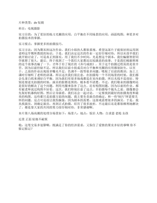 DV片《弄巧成拙》实习报告