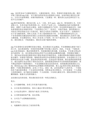 erp模拟企业实训总结