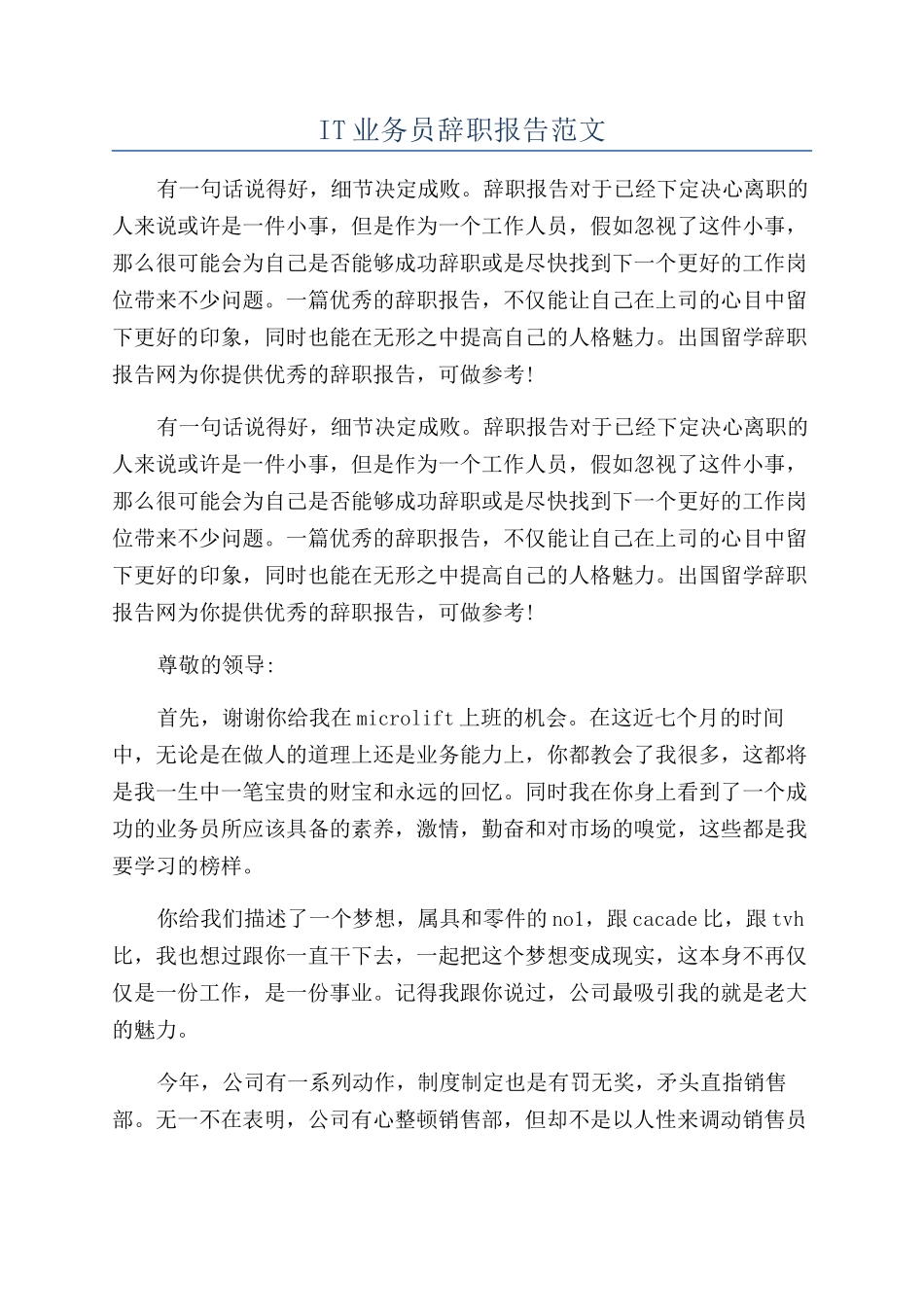 IT业务员辞职报告范文_第1页