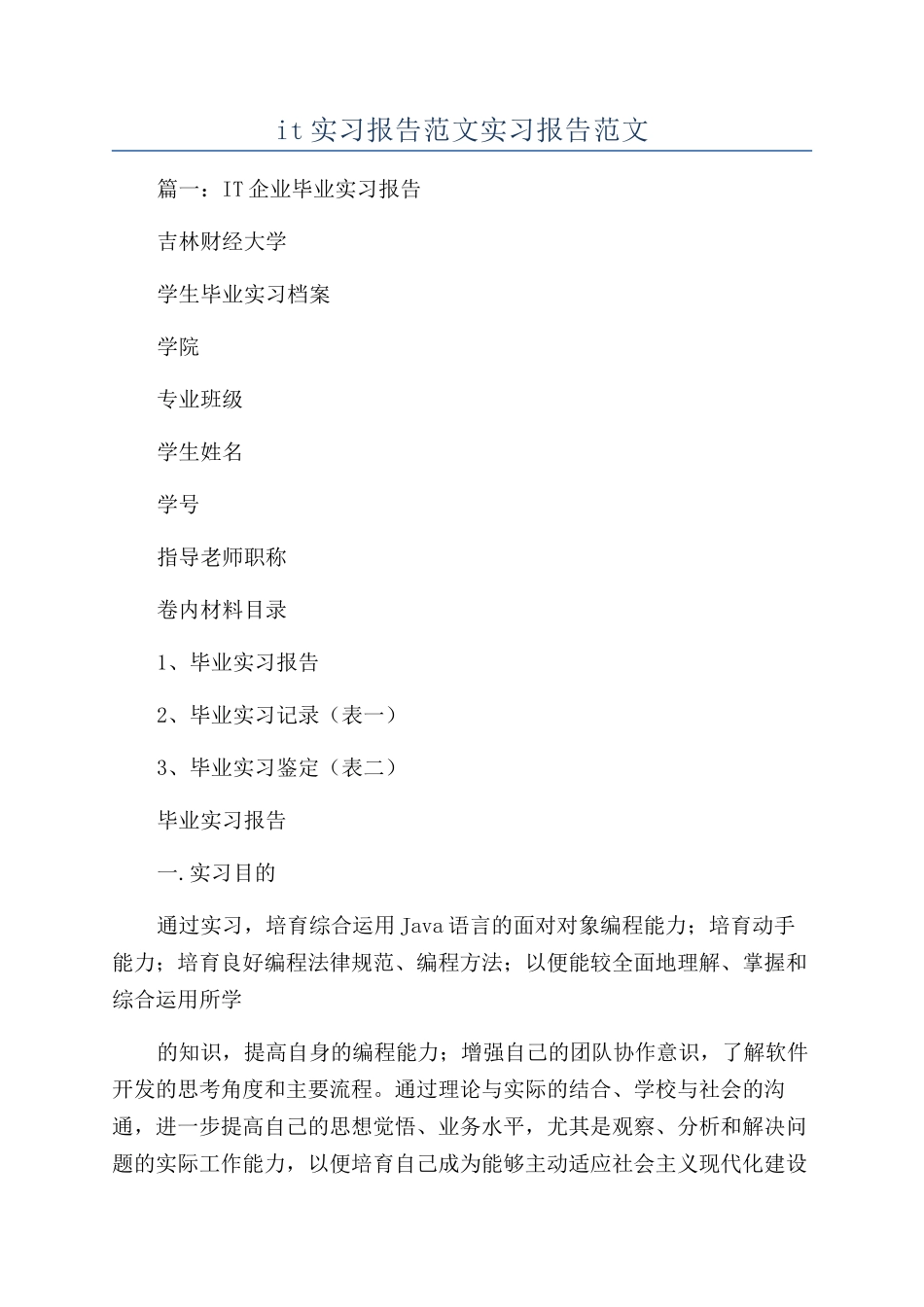 it实习报告范文实习报告范文_第1页