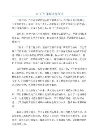 it工作自我评价范文