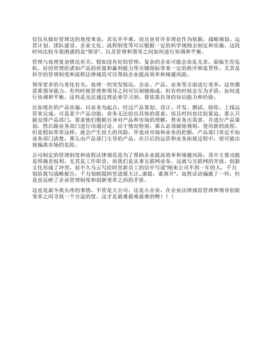 IT公司项目管理工作总结_第1页