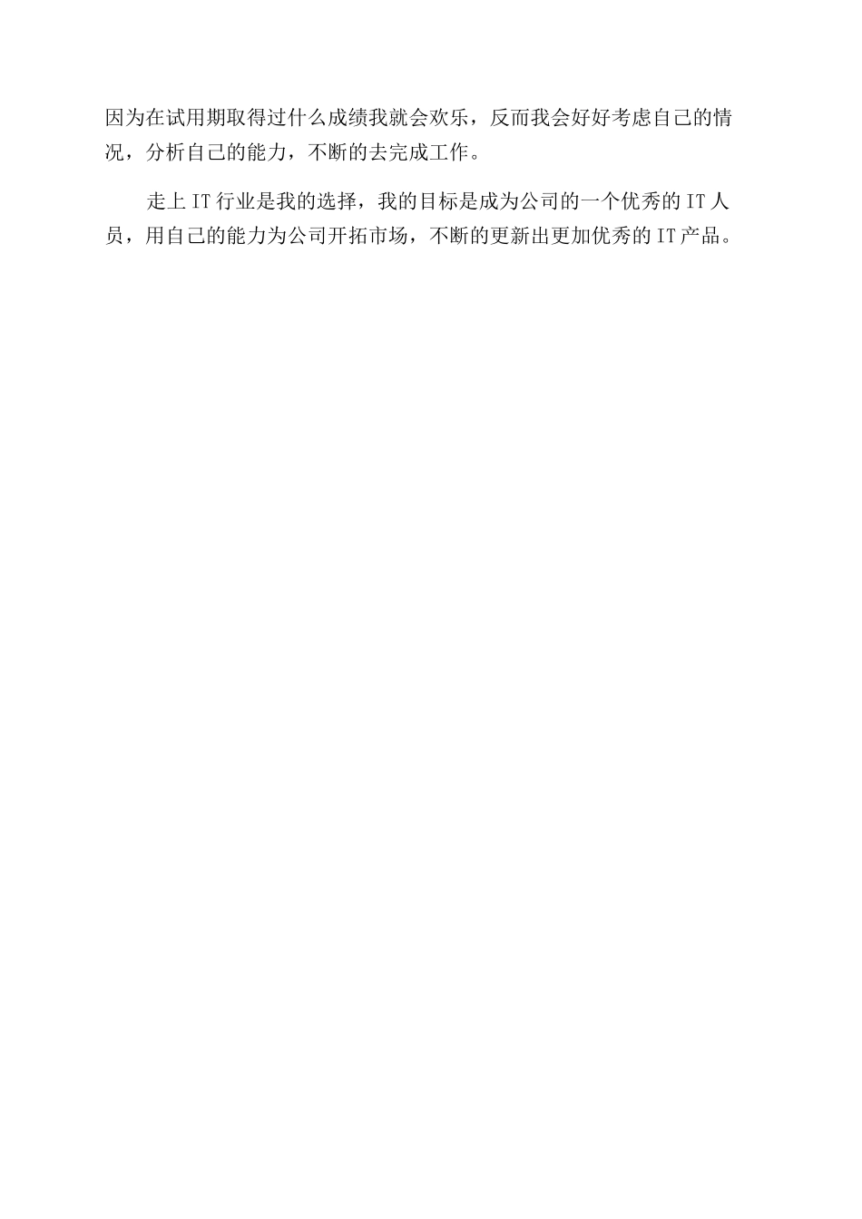IT新员工试用期个人工作总结范文_第2页