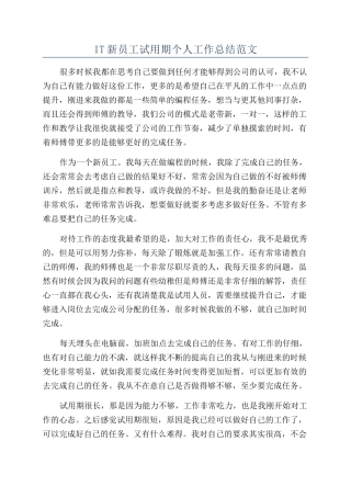IT新员工试用期个人工作总结范文