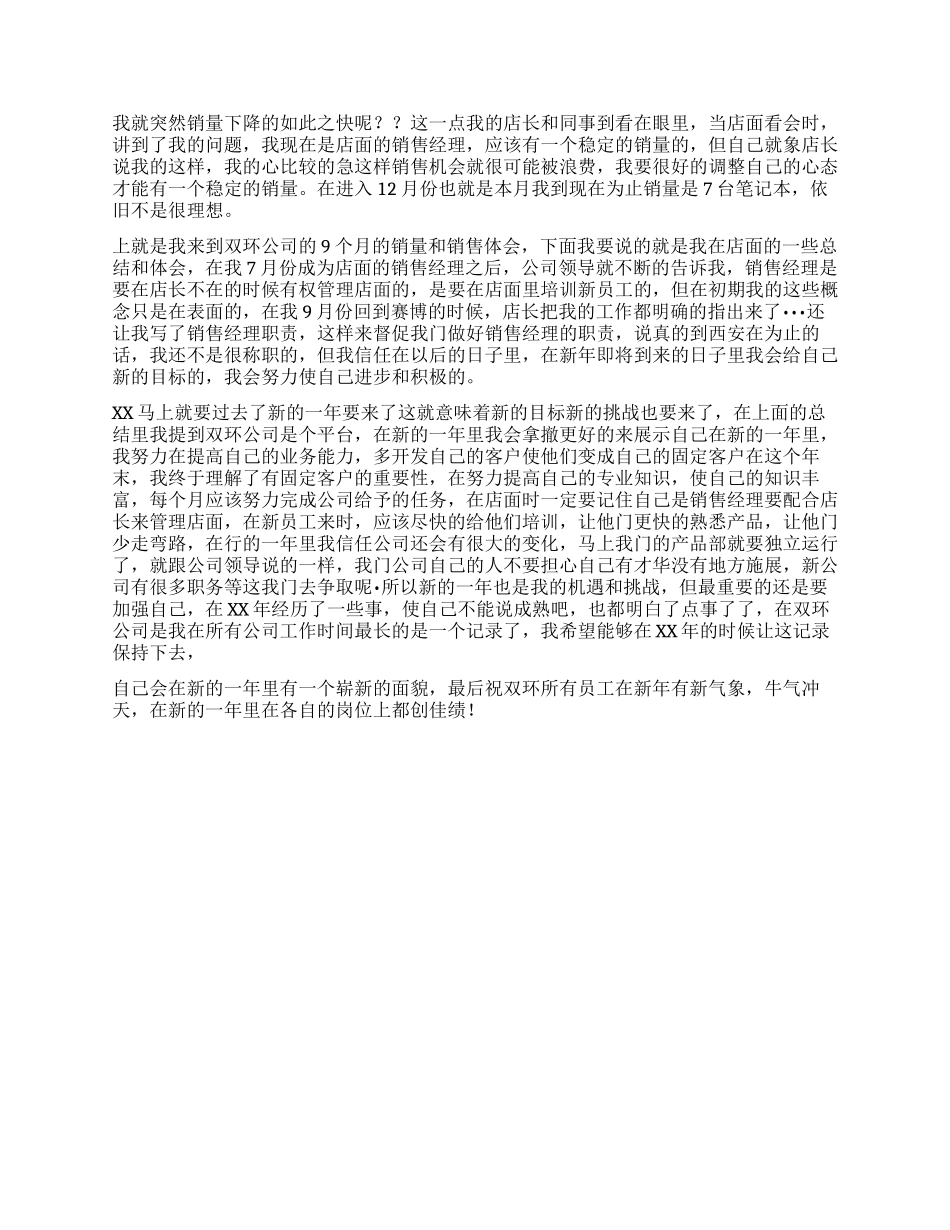 IT销售年终工作总结_第2页