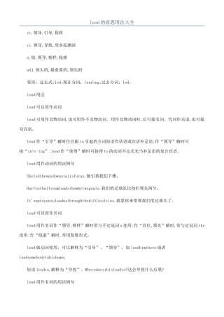 lead的意思用法大全