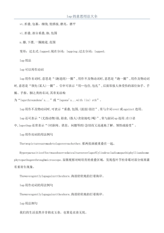lap的意思用法大全