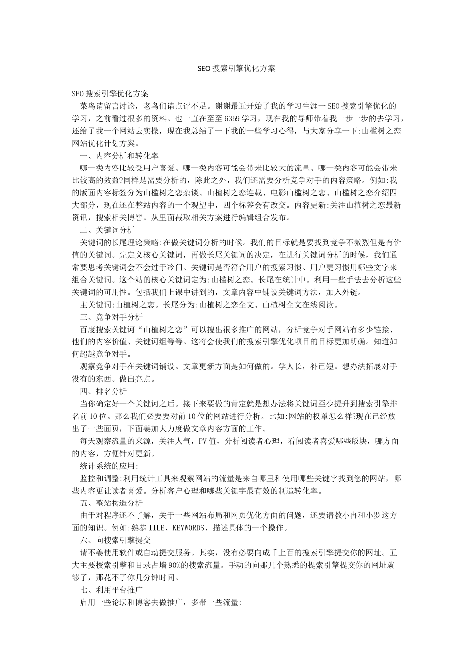 SEO搜索引擎优化方案_第1页