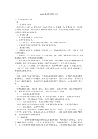 XXX党支部整改提升方案