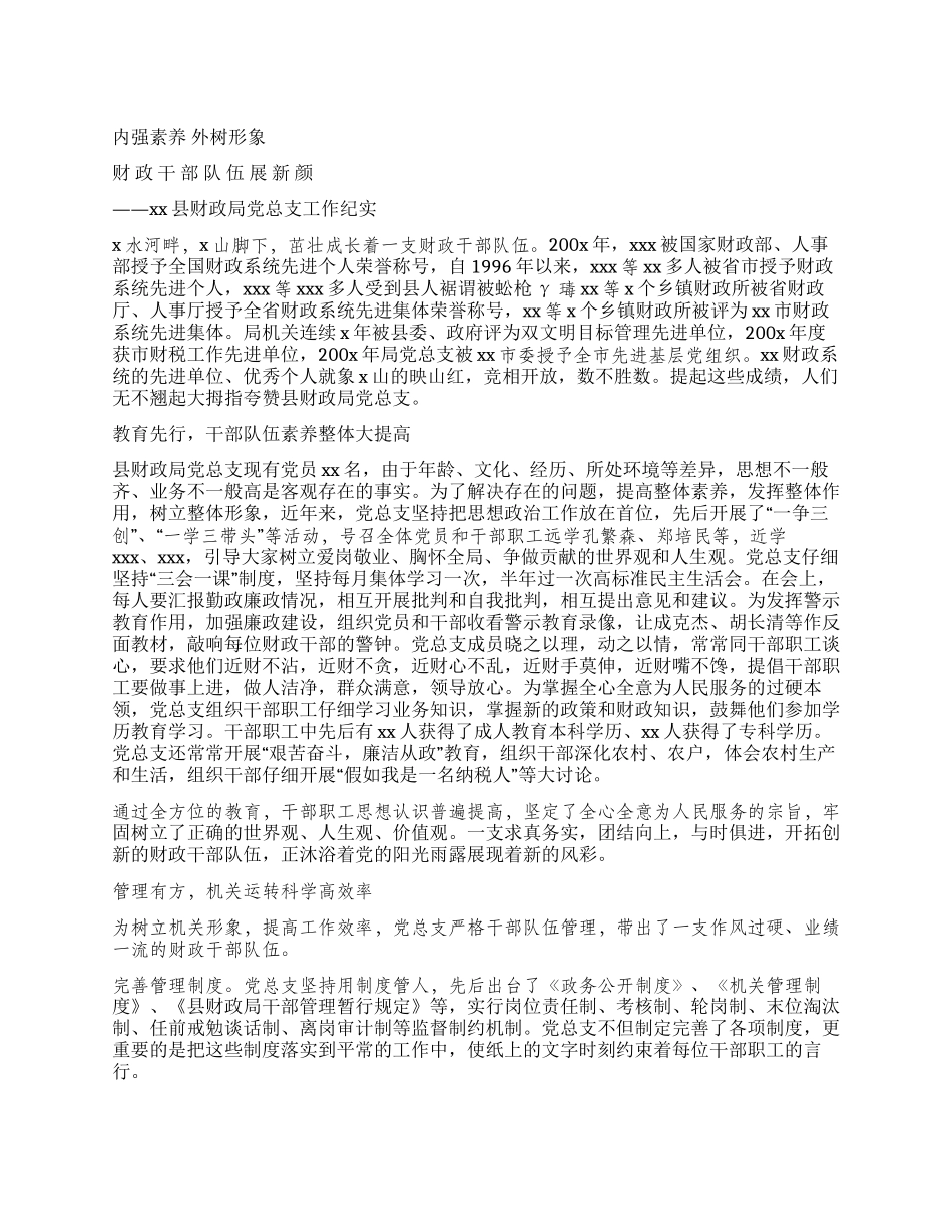 xx县财政局党总支工作纪实_第1页
