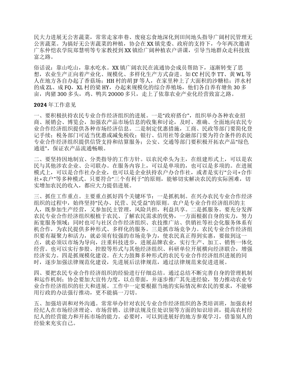XX市XX镇农特产品流通协会2024年工作总结_第2页