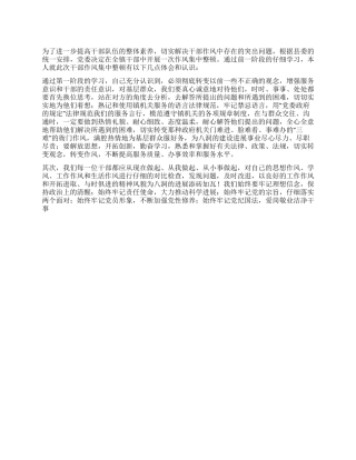 XX干部作风整顿心得