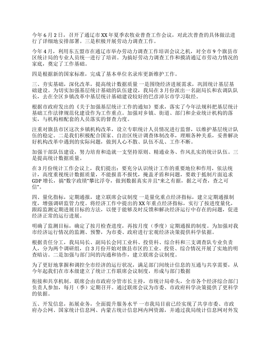 XX年上半年市统计局工作总结_第2页