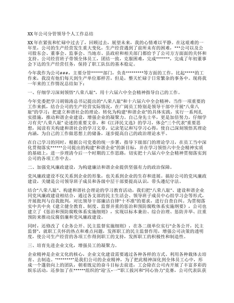 XX年公司分管领导个人工作总结_第1页