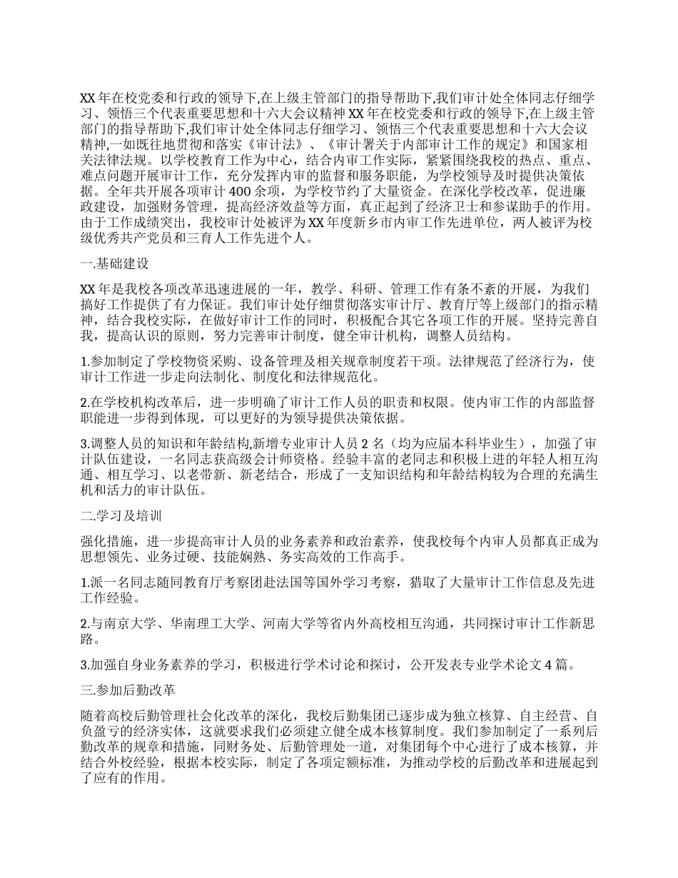 XX年审计工作总结范文_第1页