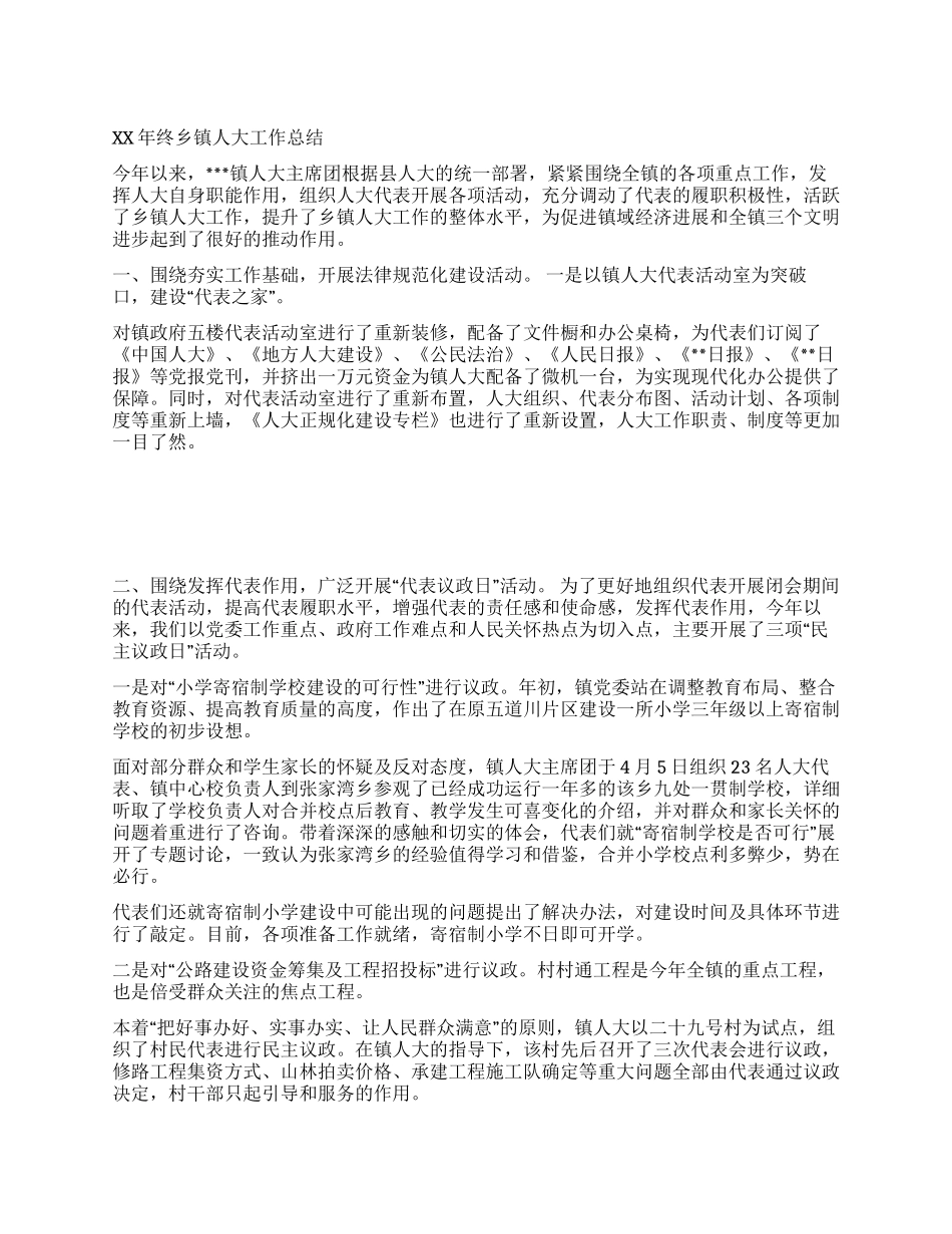 XX年终乡镇人大工作总结_第1页
