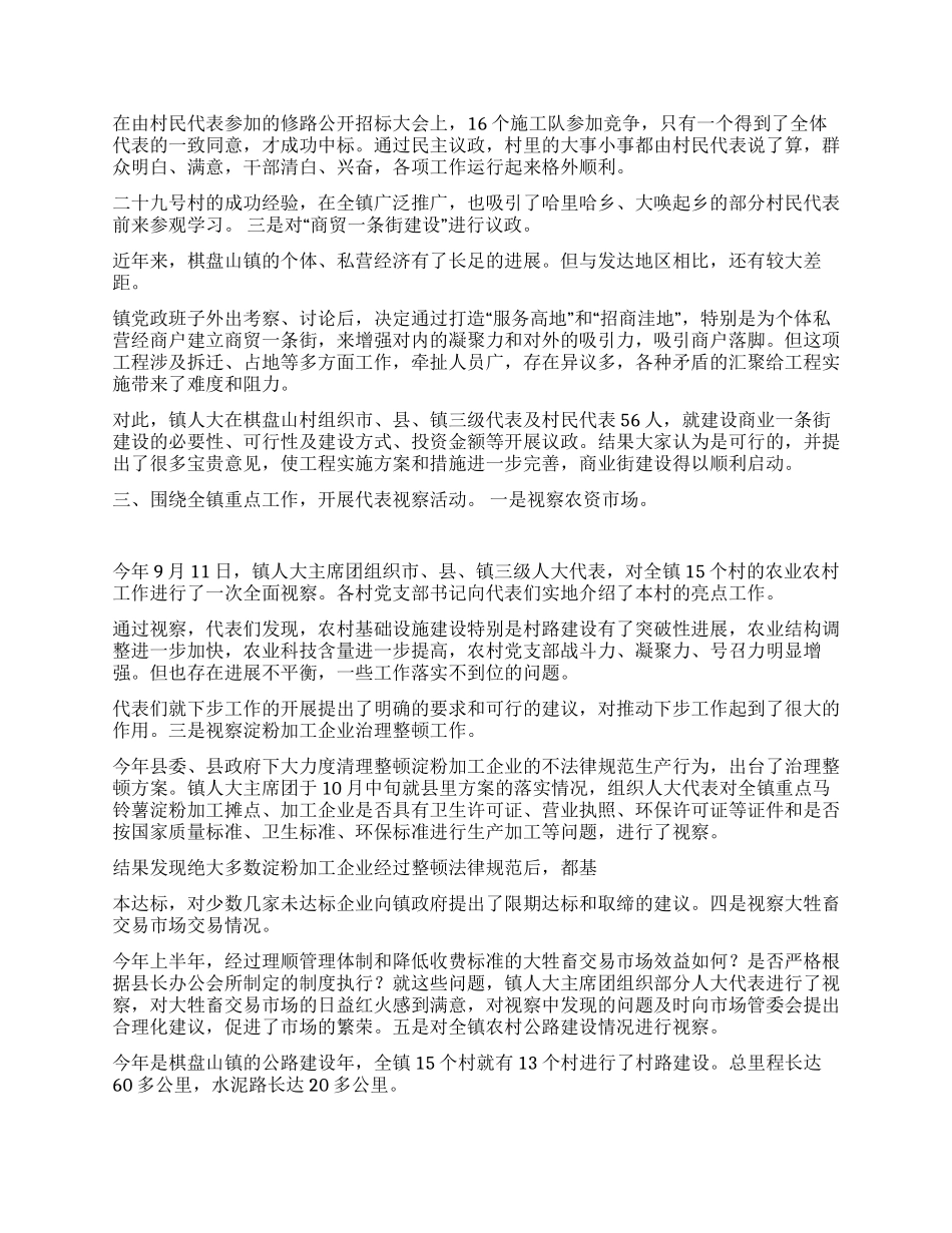 XX年终乡镇人大工作总结_第2页