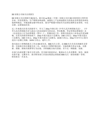 XX有限公司海关自查报告