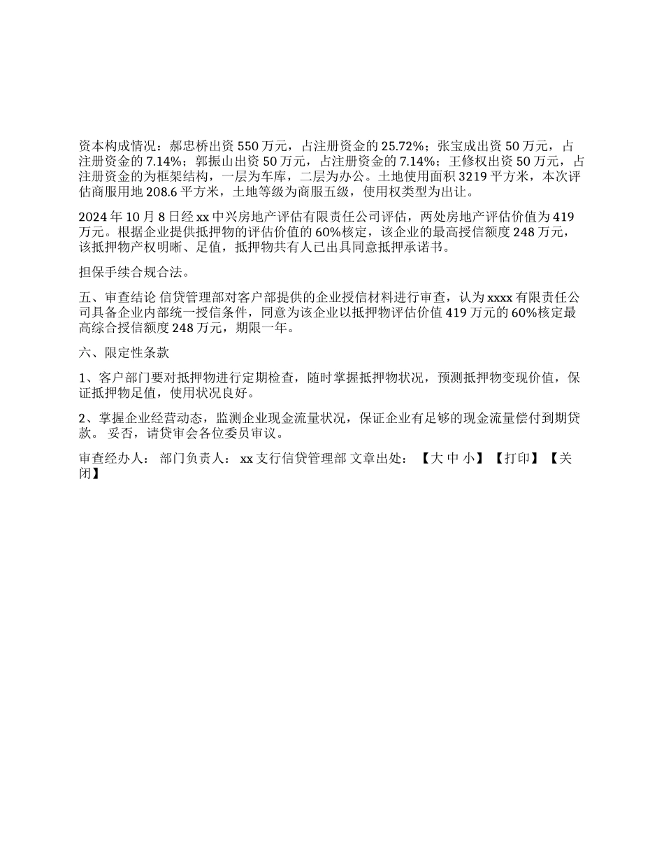 xx有限责任公司xx万元内部统一授信的信贷审查报告_第1页
