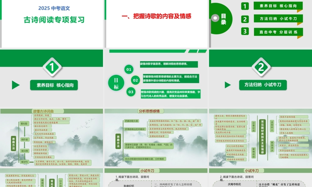 中考语文专题复习：古诗阅读复习
